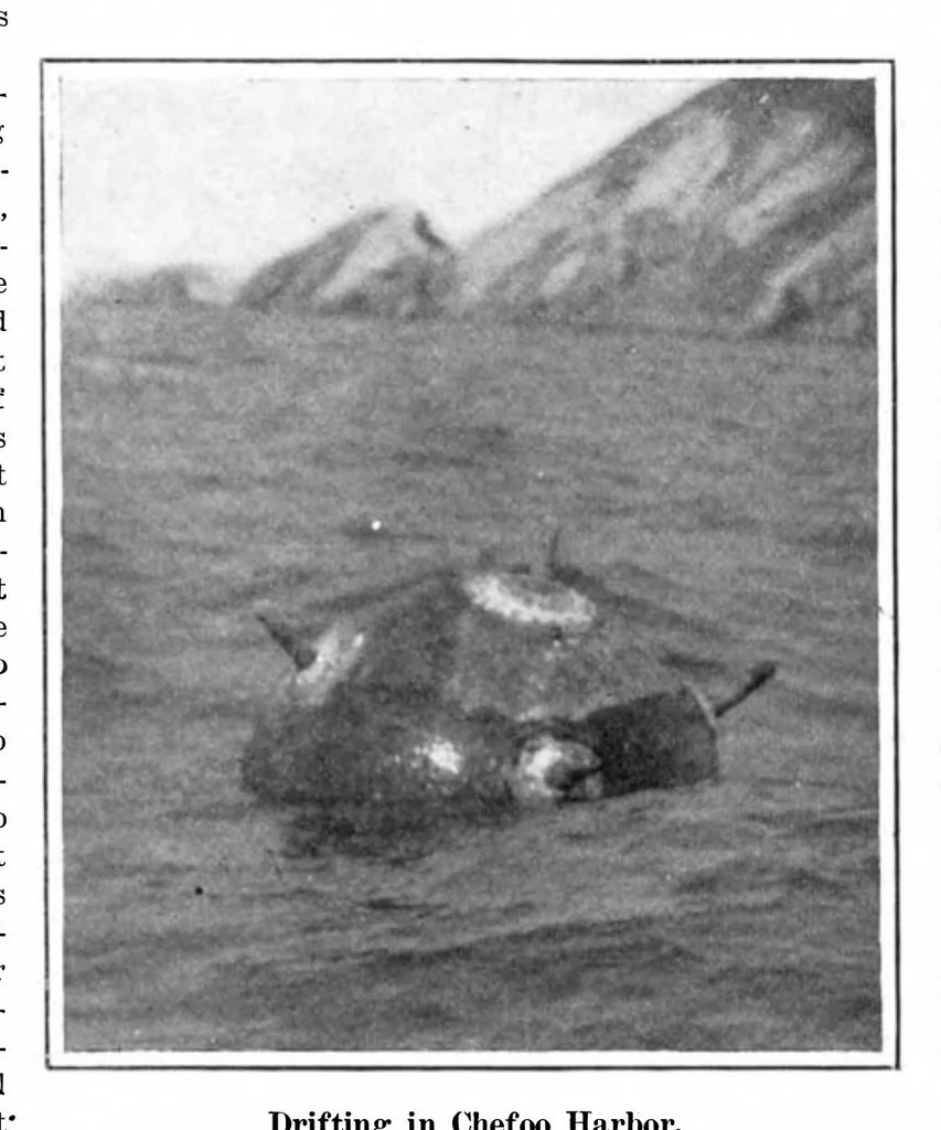 An illustration from Scientific American, Vol. 92, No. 20 (May 20, 1905), 1905, leaf 9