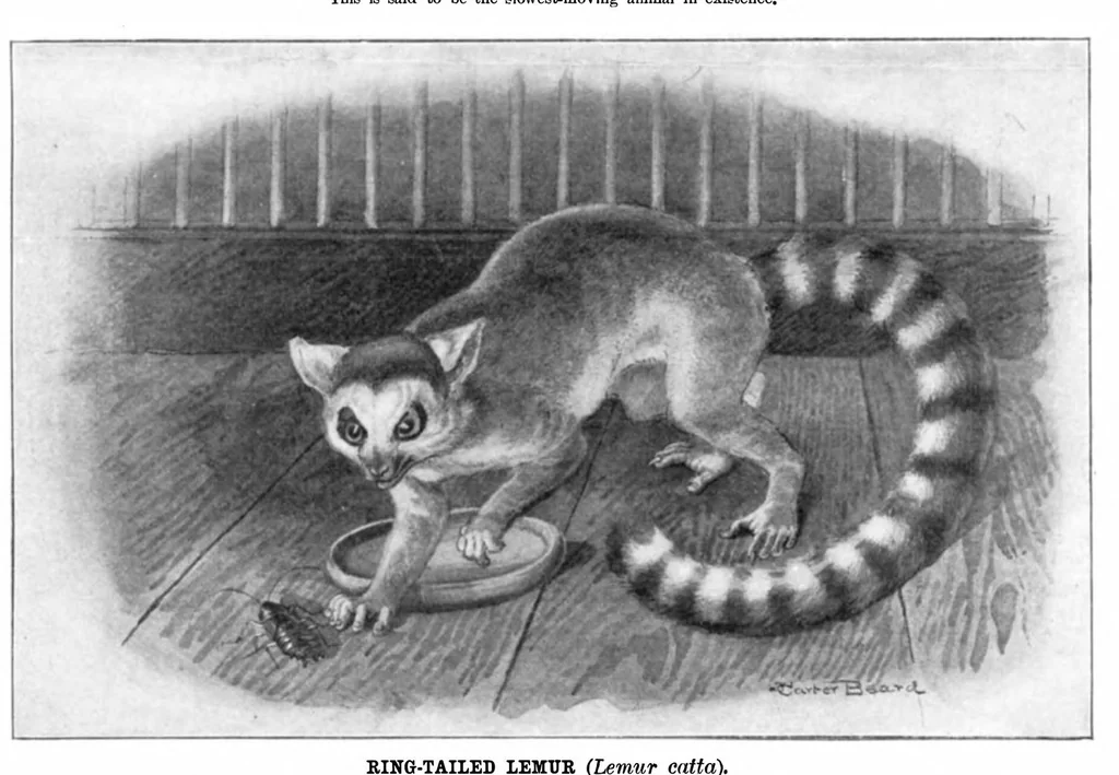 An illustration from Scientific American, Vol. 92, No. 1 (1905), 1905, leaf 10