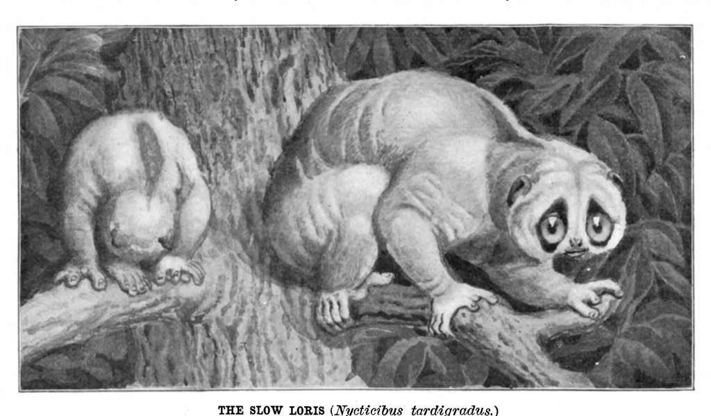 An illustration from Scientific American, Vol. 92, No. 1 (1905), 1905, leaf 10