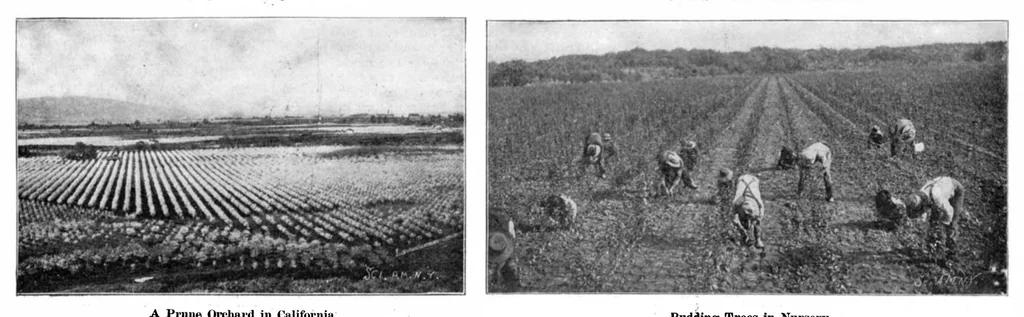 An illustration from Scientific American, Vol. 92, No. 1 (1905), 1905, leaf 8