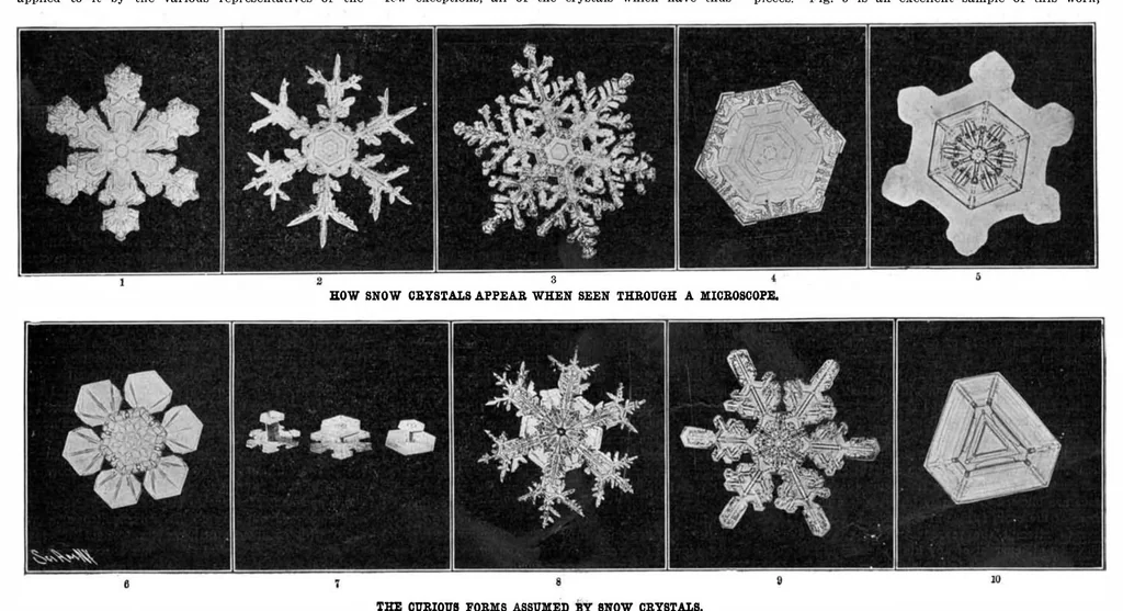 An illustration from Scientific American, Vol. 92, No. 2 (1905), 1905, leaf 4