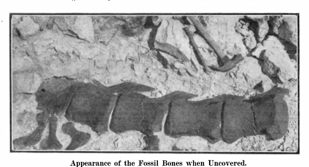 An illustration from Scientific American, Vol. 92, No. 3 (1905), 1905, leaf 5