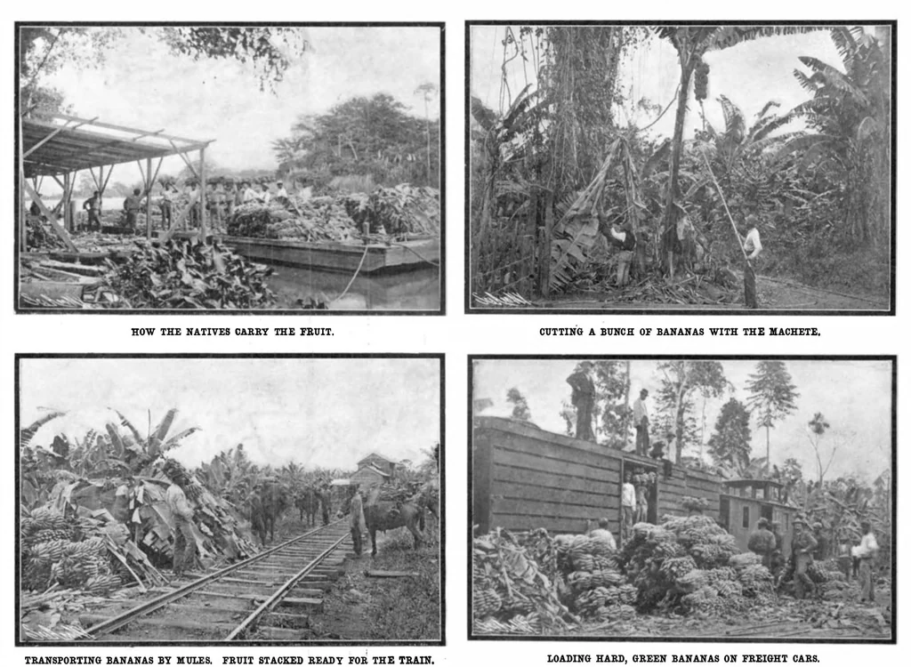 An illustration from Scientific American, Vol. 92, No. 4 (1905), 1905, leaf 25