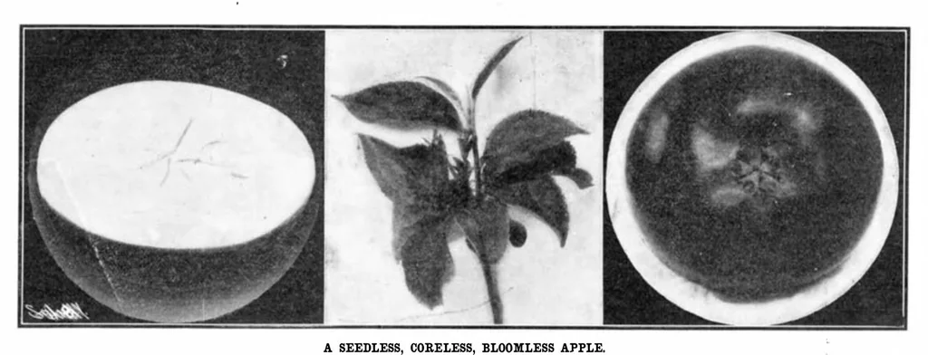 An illustration from Scientific American, Vol. 92, No. 5 (1905), 1905, leaf 3