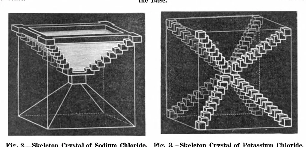 An illustration from Scientific American, Vol. 92, No. 7 (1905), 1905, leaf 8