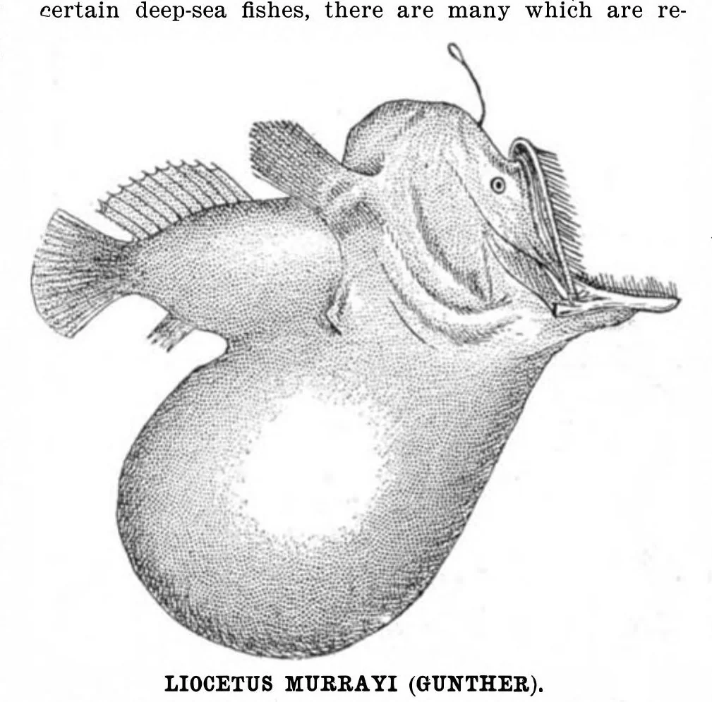 An illustration from Scientific American, Vol. 92, No. 9 (1905), 1905, leaf 11