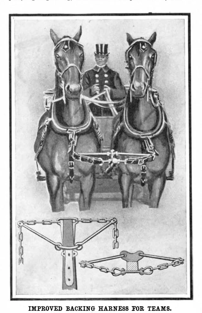 An illustration from Scientific American, Vol. 92, No. 11 (1905), 1905, leaf 11