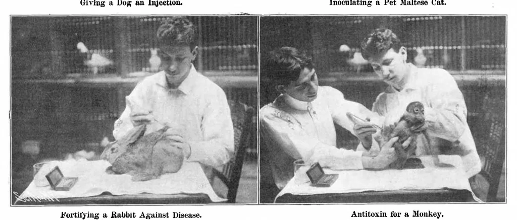 An illustration from Scientific American, Vol. 92, No. 11 (1905), 1905, leaf 4