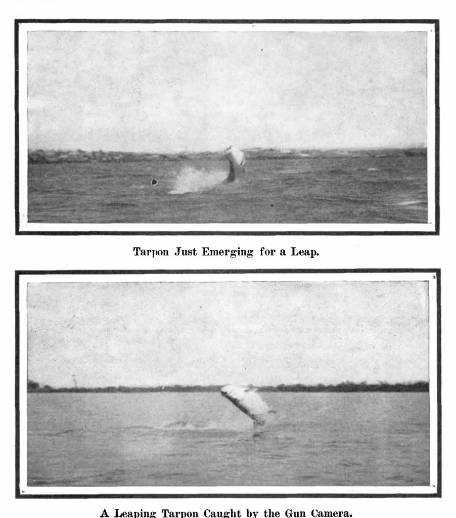 An illustration from Scientific American, Vol. 92, No. 17 (1905), 1905, leaf 11