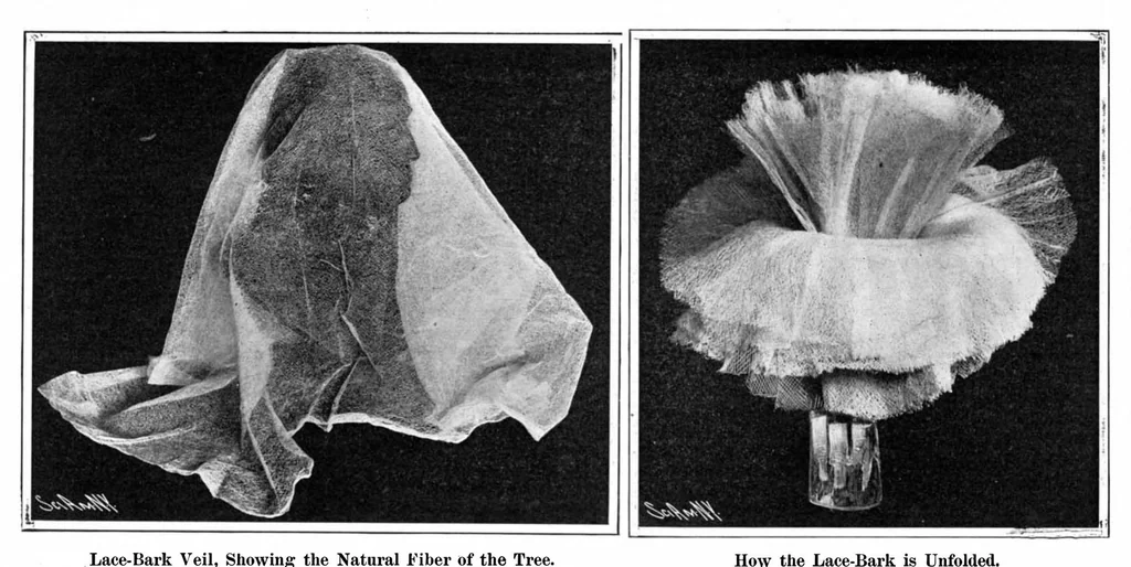 An illustration from Scientific American, Vol. 92, No. 17 (1905), 1905, leaf 3