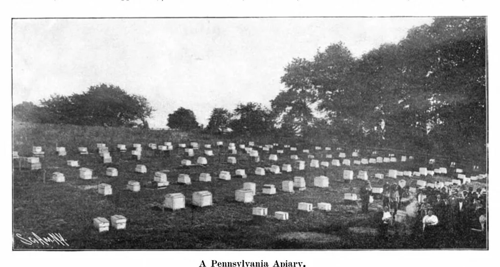 An illustration from Scientific American, Vol. 92, No. 19 (1905), 1905, leaf 10