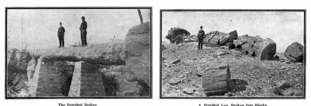 An illustration from Scientific American, Vol. 92, No. 19 (1905), 1905, leaf 11