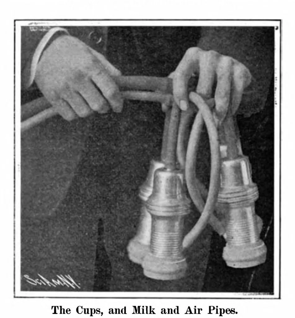 An illustration from Scientific American, Vol. 92, No. 19 (1905), 1905, leaf 3