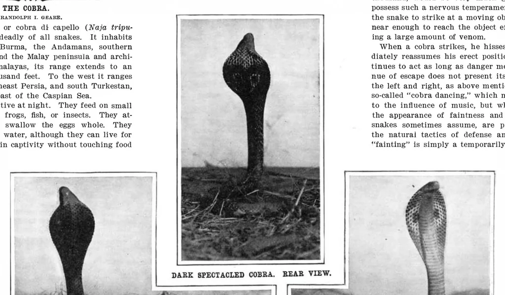 An illustration from Scientific American, Vol. 92, No. 21 (1905), 1905, leaf 3