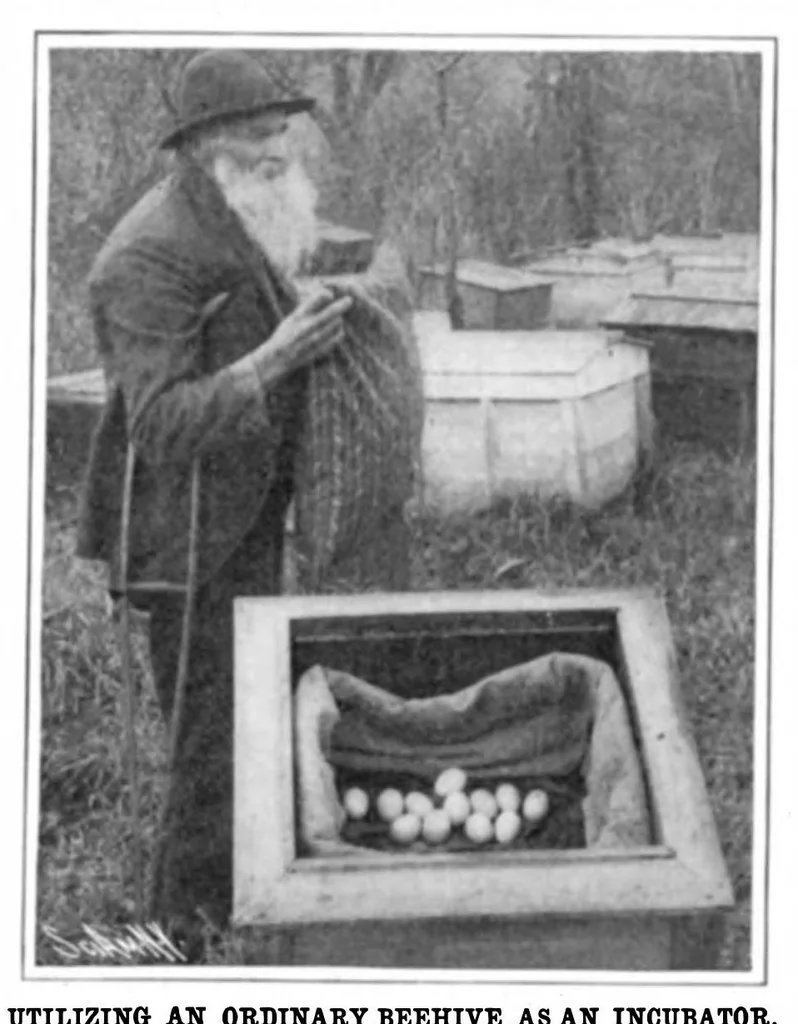 An illustration from Scientific American, Vol. 92, No. 24 (1905), 1905, leaf 11