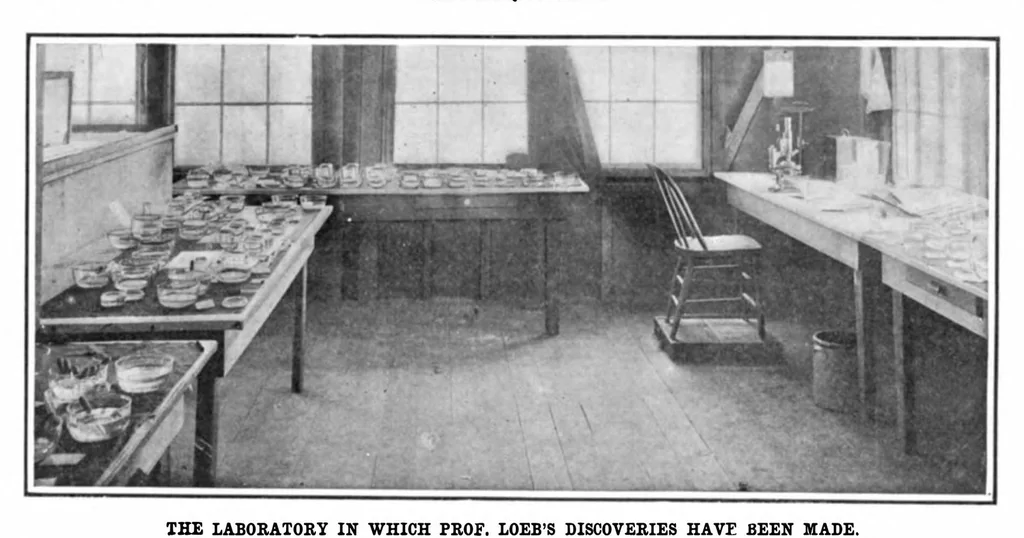 An illustration from Scientific American, Vol. 92, No. 24 (1905), 1905, leaf 3
