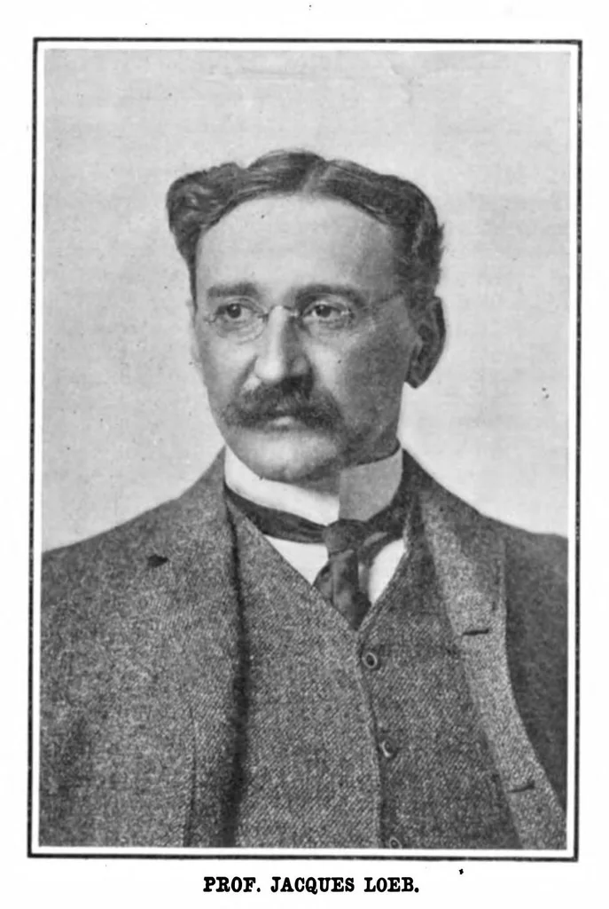 An illustration from Scientific American, Vol. 92, No. 24 (1905), 1905, leaf 3