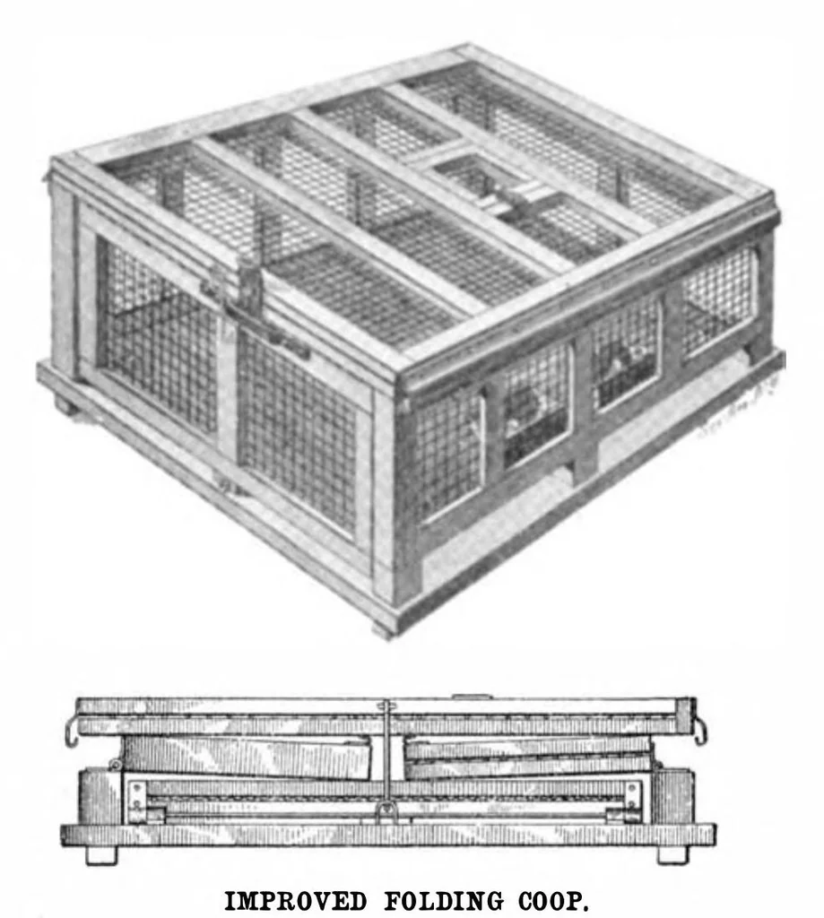 An illustration from Scientific American, Vol. 93, No. 1 (1905), 1905, leaf 10
