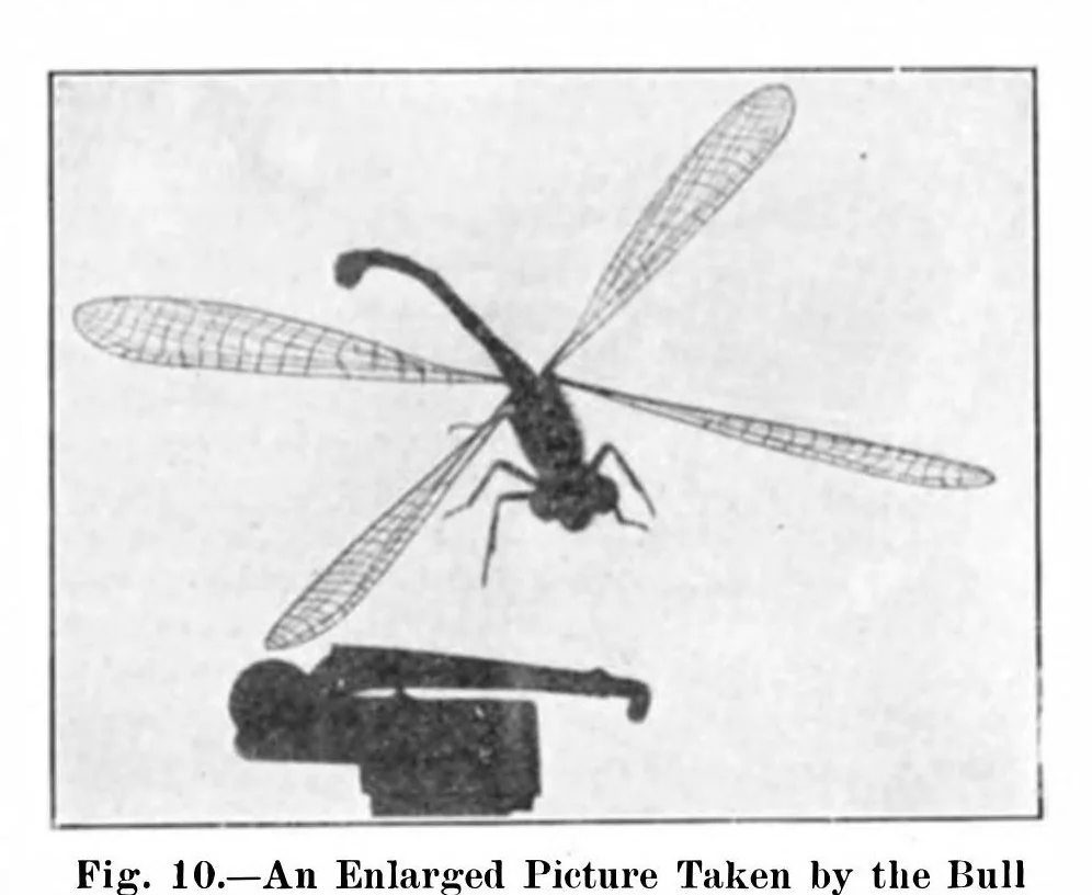 An illustration from Scientific American, Vol. 93, No. 3 (1905), 1905, leaf 10