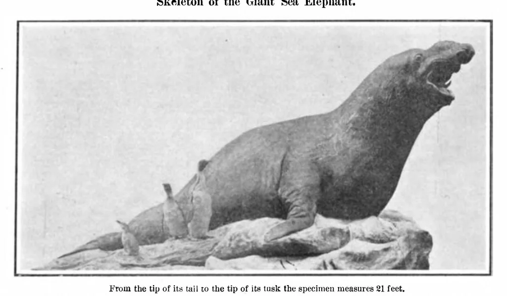 An illustration from Scientific American, Vol. 93, No. 4 (1905), 1905, leaf 10