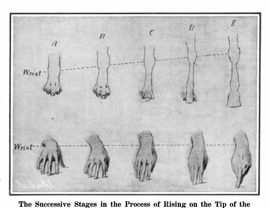 An illustration from Scientific American, Vol. 93, No. 5 (1905), 1905, leaf 4