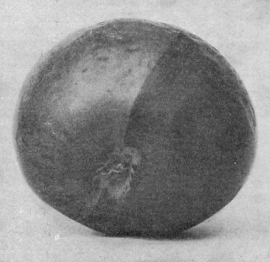 An illustration from Scientific American, Vol. 93, No. 12 (1905), 1905, leaf 7