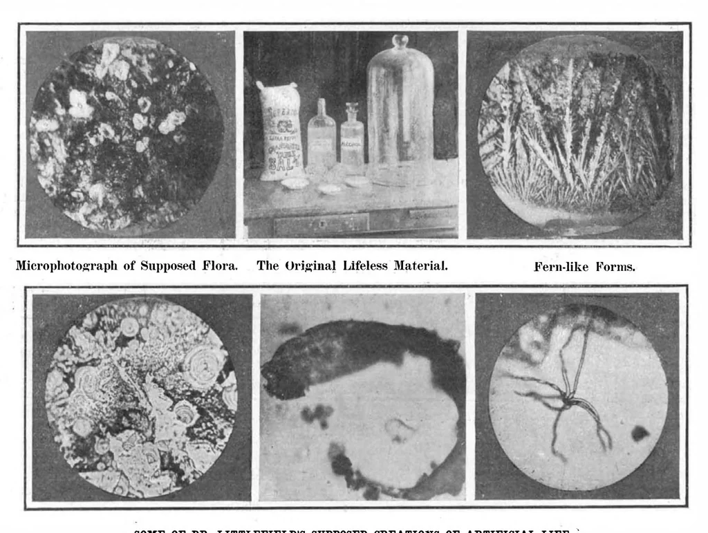 An illustration from Scientific American, Vol. 93, No. 14 (1905), 1905, leaf 10