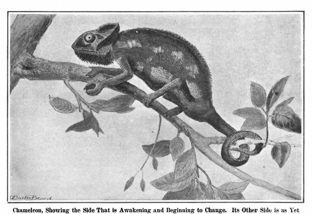 An illustration from Scientific American, Vol. 93, No. 20 (1905), 1905, leaf 10