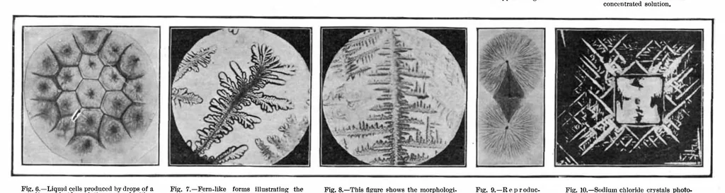 An illustration from Scientific American, Vol. 93, No. 20 (1905), 1905, leaf 4