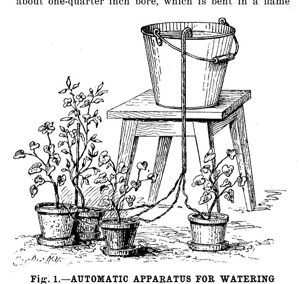 An illustration from Scientific American, Vol. 93, No. 20 (1905), 1905, leaf 6