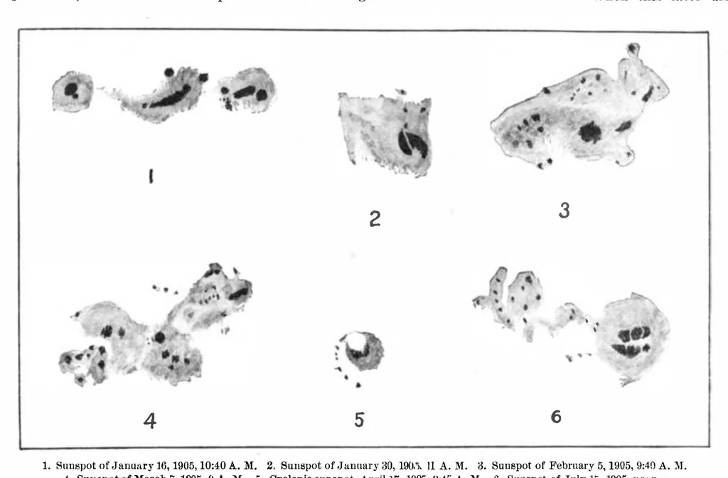 An illustration from Scientific American, Vol. 93, No. 21 (1905), 1905, leaf 9