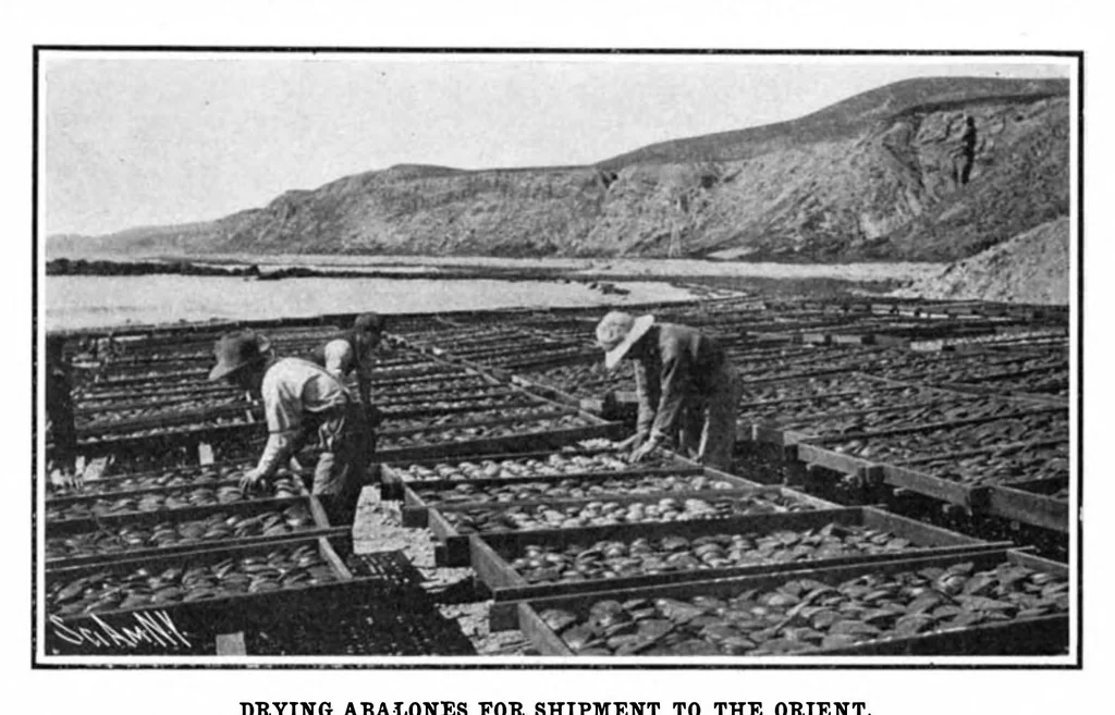 An illustration from Scientific American, Vol. 93, No. 25 (1905), 1905, leaf 7