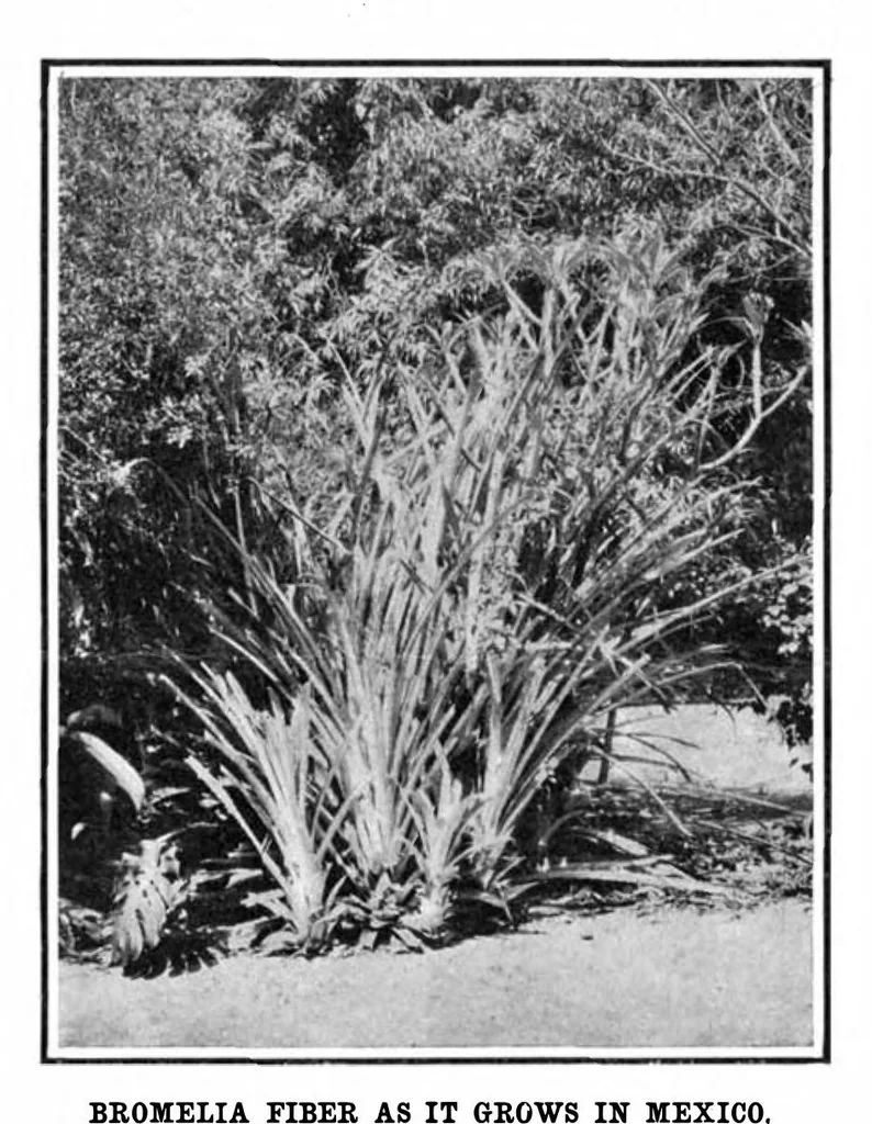 An illustration from Scientific American, Vol. 94, No. 3 (1906), 1906, leaf 6