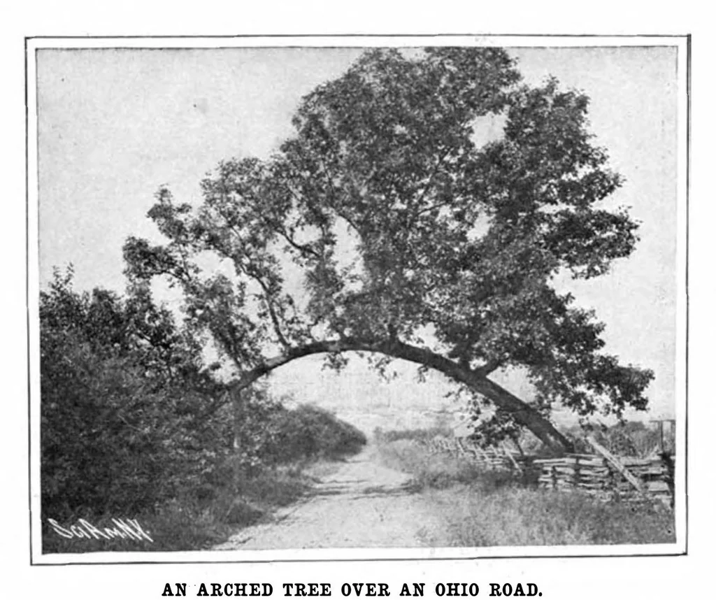 An illustration from Scientific American, Vol. 94, No. 7 (1906), 1906, leaf 10