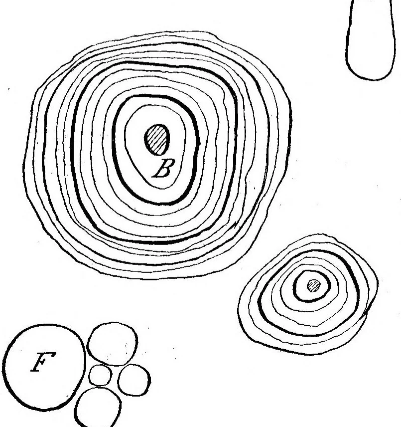 An illustration from Scientific American, Vol. 94, No. 7 (1906), 1906, leaf 5