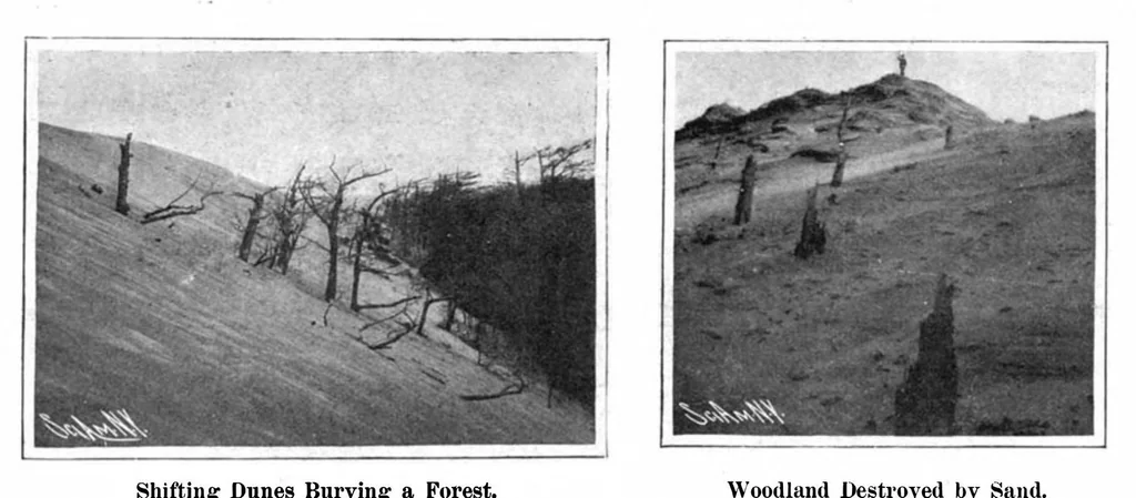 An illustration from Scientific American, Vol. 94, No. 8 (1906), 1906, leaf 8
