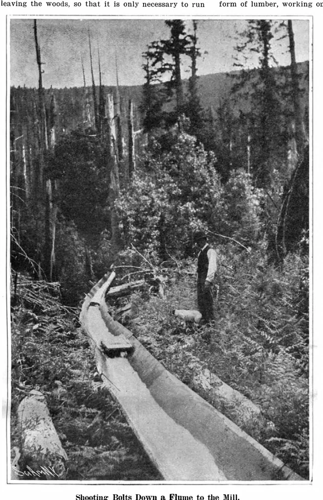 An illustration from Scientific American, Vol. 94, No. 12 (1906), 1906, leaf 10