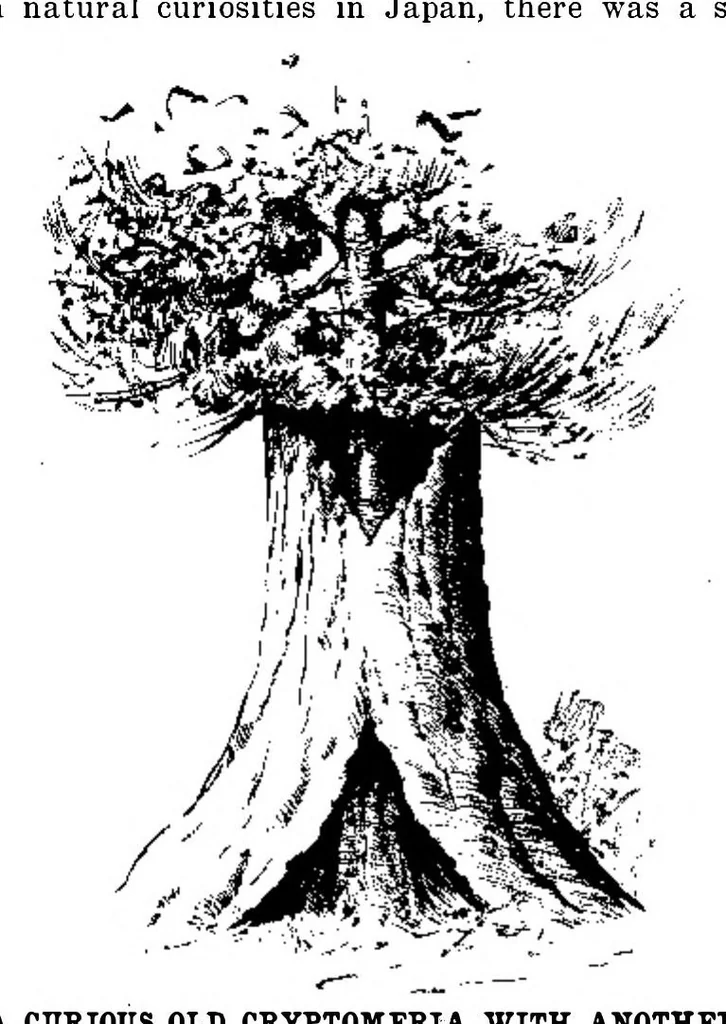 An illustration from Scientific American, Vol. 94, No. 18 (1906), 1906, leaf 6