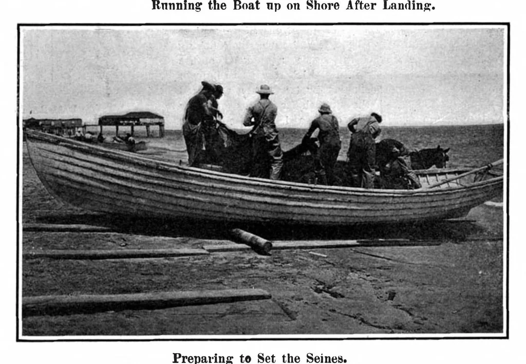 An illustration from Scientific American, Vol. 94, No. 26 (1906), 1906, leaf 8