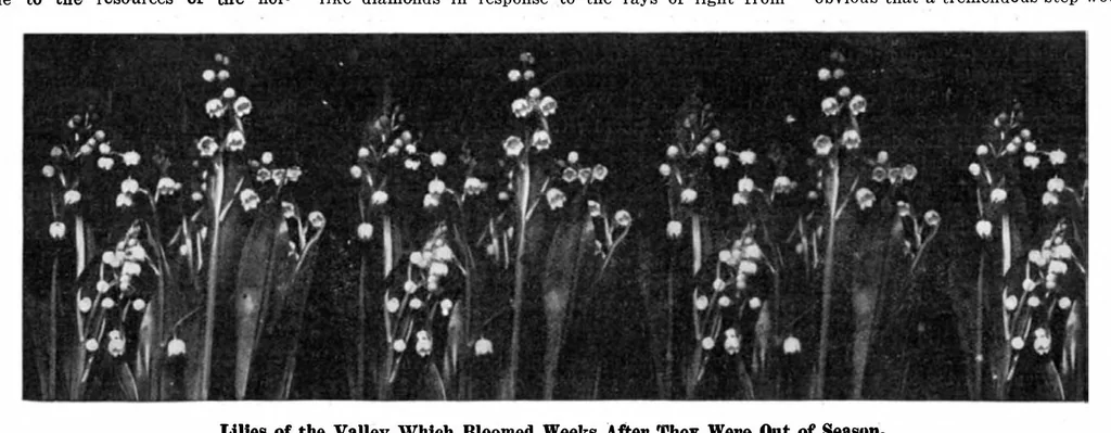 An illustration from Scientific American, Vol. 95, No. 10 (1906), 1906, leaf 7