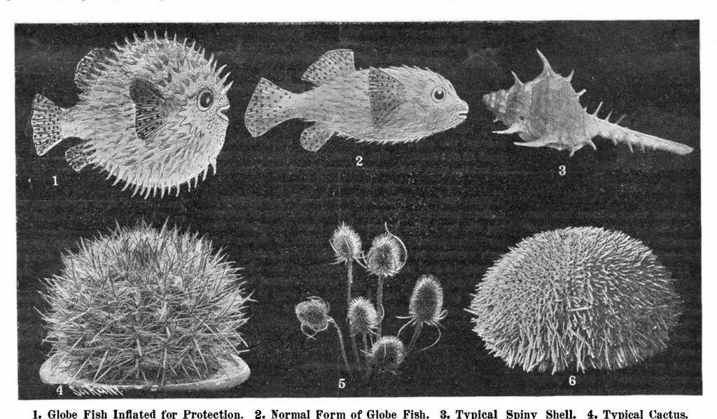 An illustration from Scientific American, Vol. 96, No. 23 (June 8, 1907), 1907, leaf 10