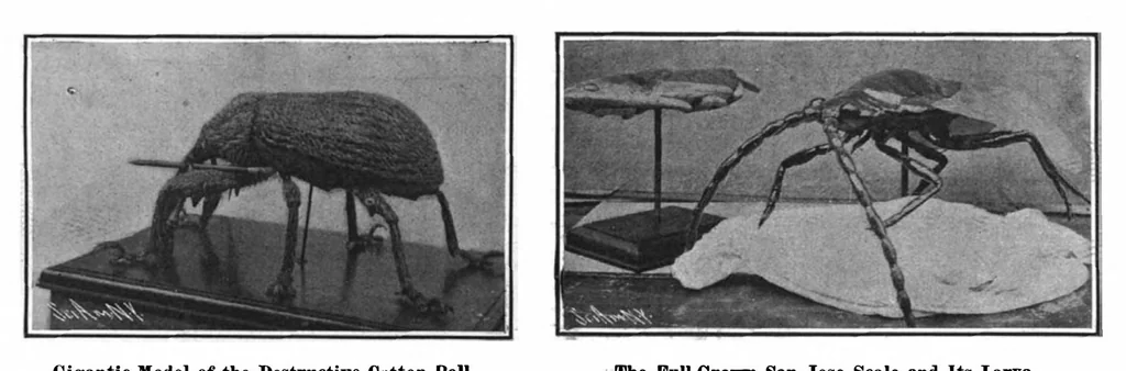 An illustration from Scientific American, Vol. 97, No. 8 (August 24, 1907), 1907, leaf 8