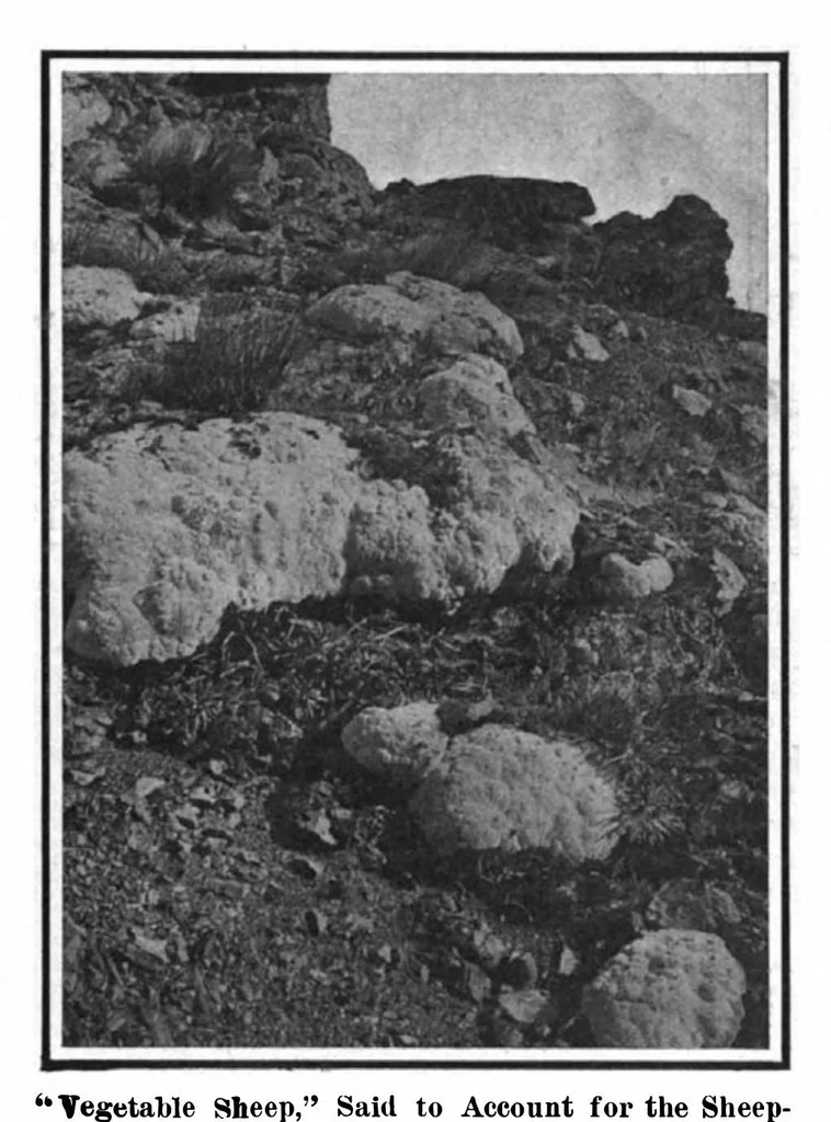 An illustration from Scientific American, Vol. 97, No. 9 (August 31, 1907), 1907, leaf 9
