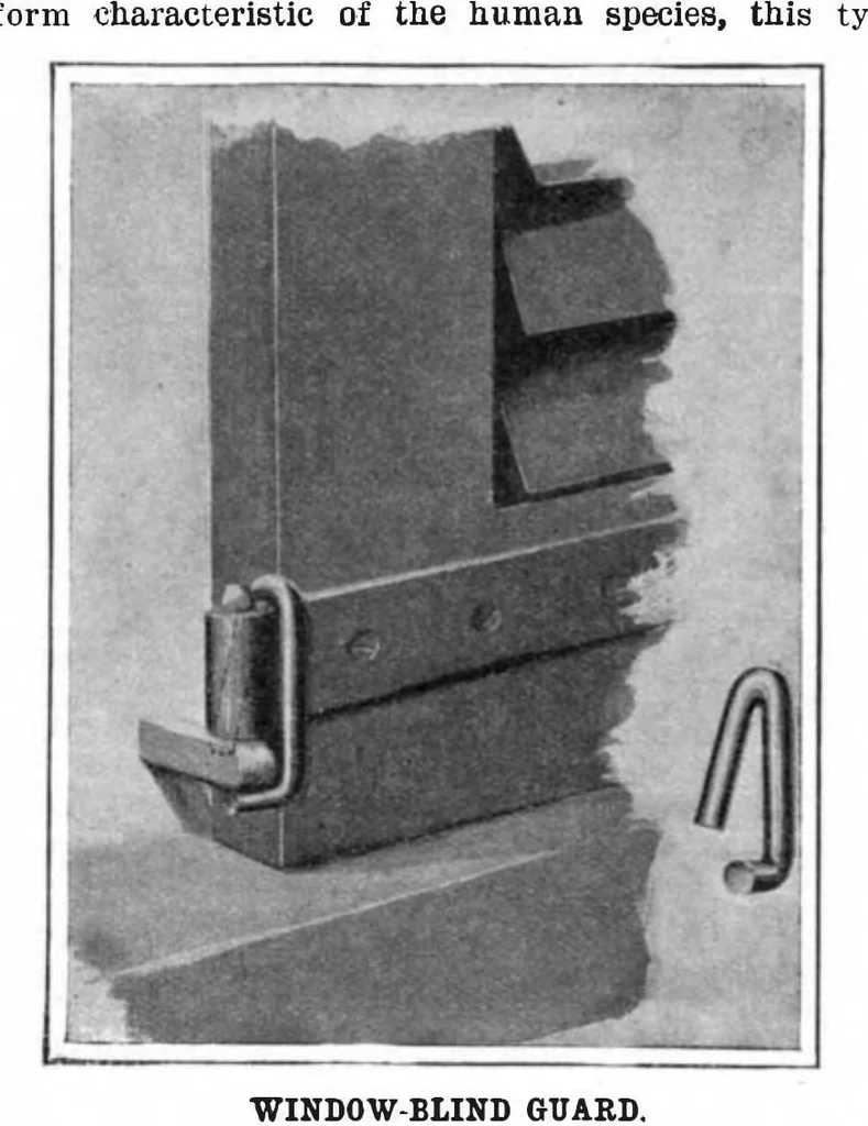 An illustration from Scientific American, Vol. 96, No. 5 (1907), 1907, leaf 11