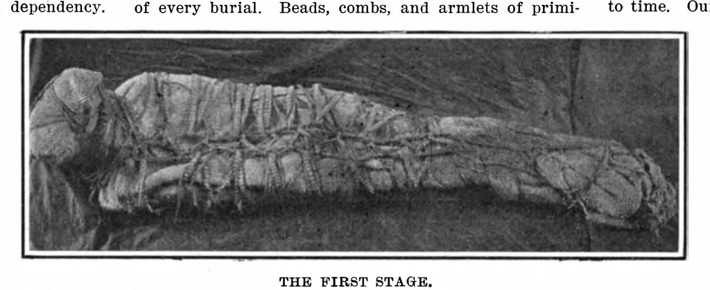 An illustration from Scientific American, Vol. 96, No. 13 (1907), 1907, leaf 7