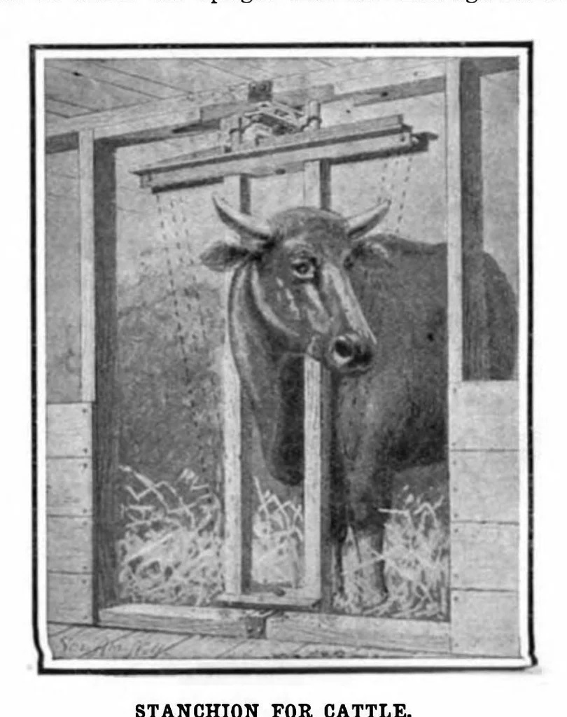 An illustration from Scientific American, Vol. 96, No. 15 (1907), 1907, leaf 11