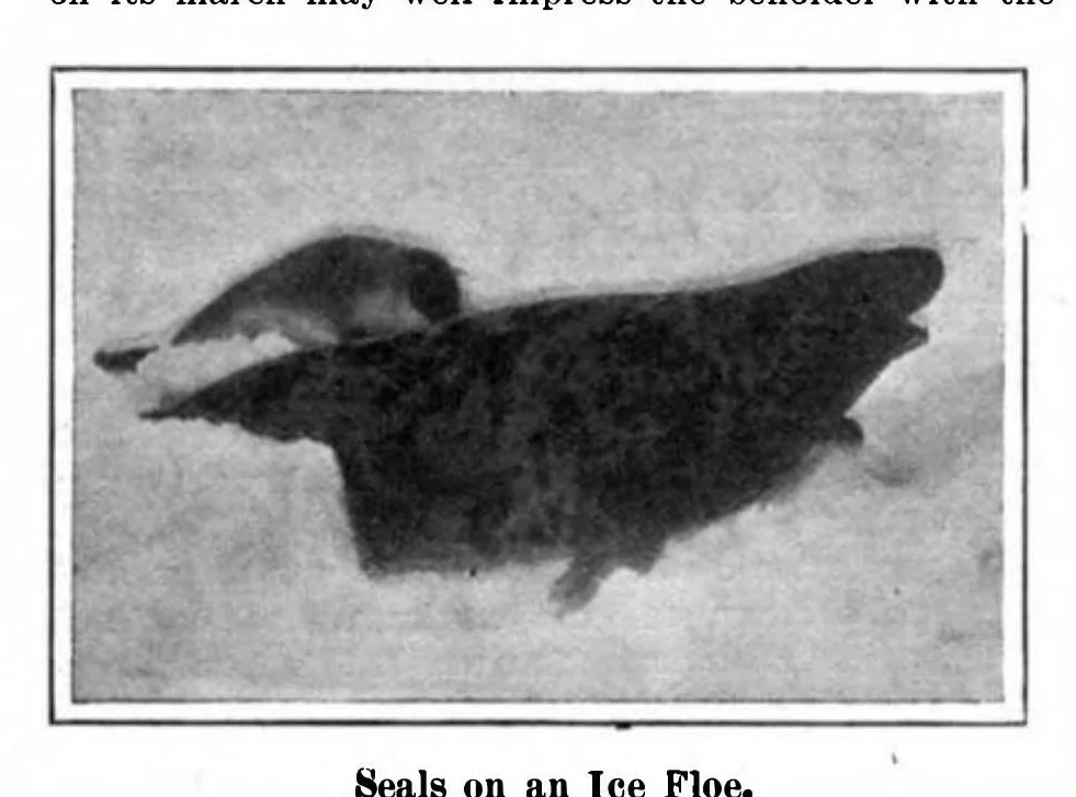An illustration from Scientific American, Vol. 96, No. 15 (1907), 1907, leaf 3