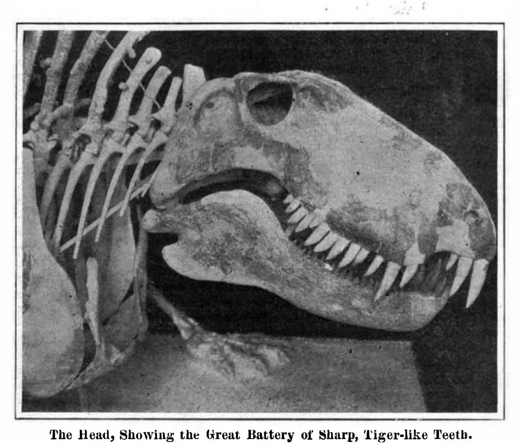 An illustration from Scientific American, Vol. 96, No. 18 (1907), 1907, leaf 3