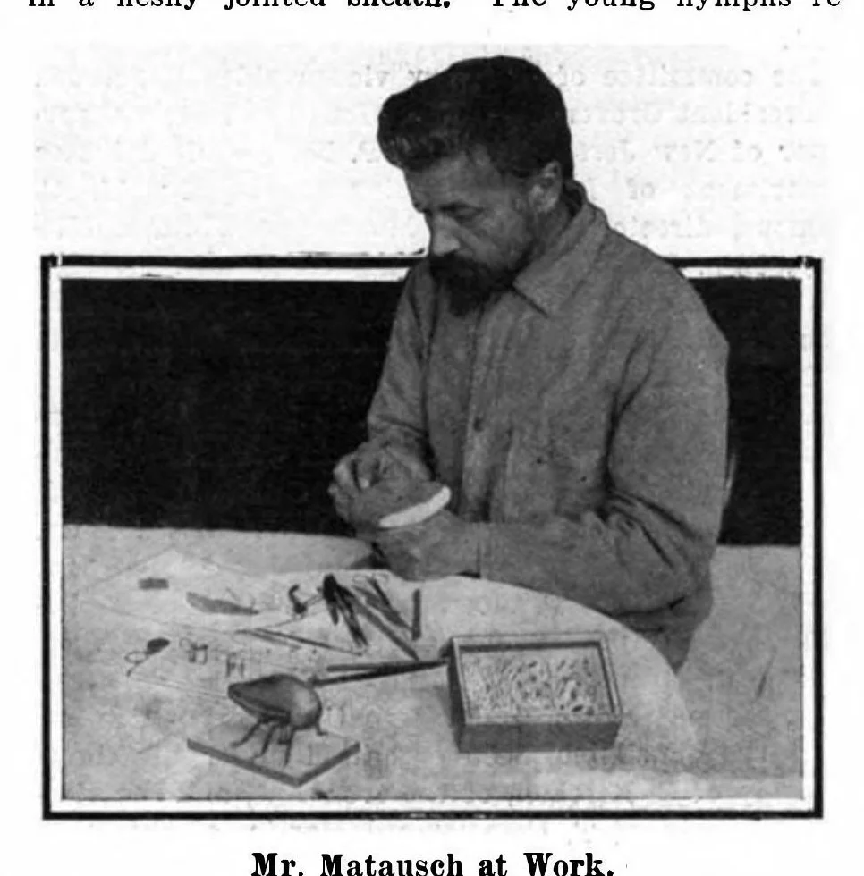 An illustration from Scientific American, Vol. 96, No. 21 (1907), 1907, leaf 3