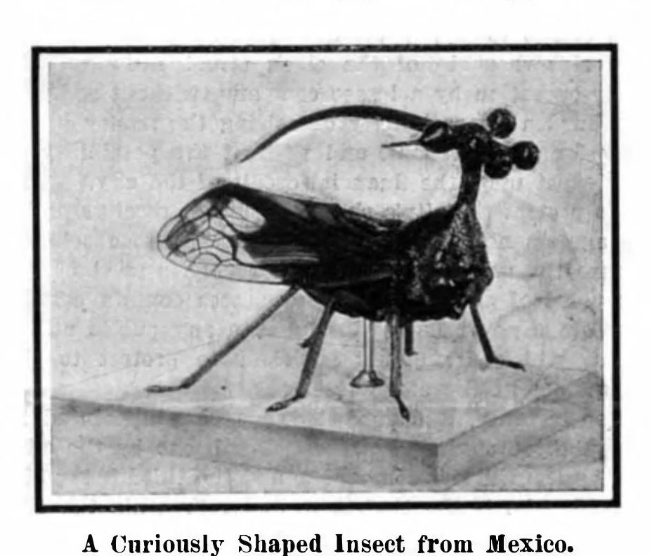An illustration from Scientific American, Vol. 96, No. 21 (1907), 1907, leaf 4